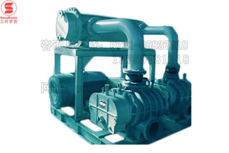 TAS-250双级三叶罗茨鼓风机