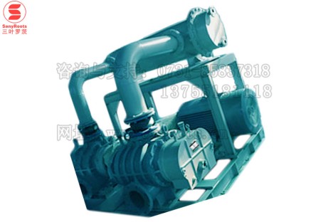 TAS-250双级三叶罗茨鼓风机