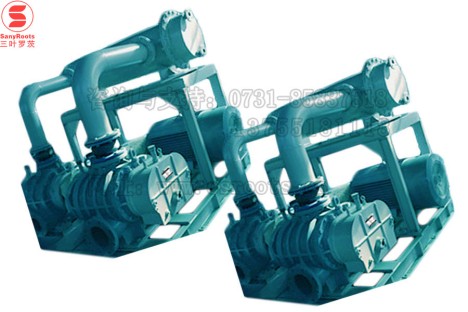 TAS-250双级三叶罗茨鼓风机