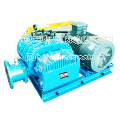 ARS125罗茨风机丨ARS125C罗茨风机