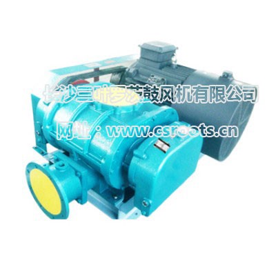 ARS150罗茨风机