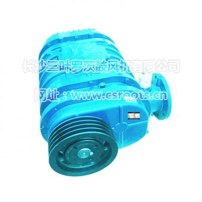 ARS175罗茨风机
