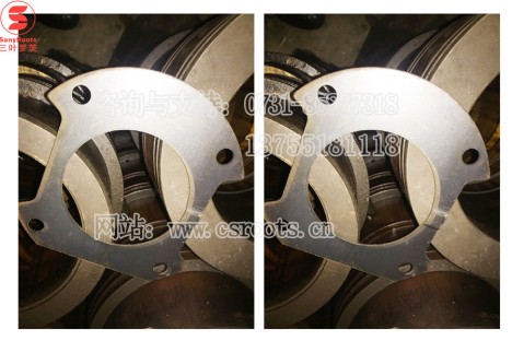 TAS195罗茨风机械密封