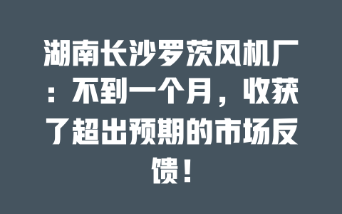 湖南长沙罗茨风机厂:不到一个月,收获了超出预期的市场反馈! 一