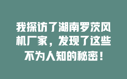 我探访了湖南罗茨风机厂家,发现了这些不为人知的秘密! 一