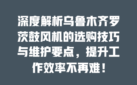 深度解析乌鲁木齐罗茨鼓风机的选购技巧与维护要点,提升工作效率不再难! 一