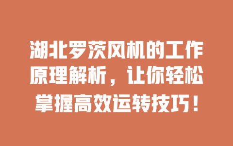 湖北罗茨风机的工作原理解析,让你轻松掌握高效运转技巧! 一