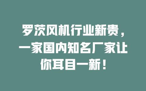 罗茨风机行业新贵,一家国内知名厂家让你耳目一新! 一