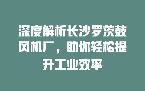 深度解析长沙罗茨鼓风机厂,助你轻松提升工业效率 一