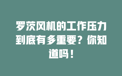 罗茨风机的工作压力到底有多重要?你知道吗! 一