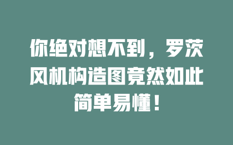 你绝对想不到,罗茨风机构造图竟然如此简单易懂! 一