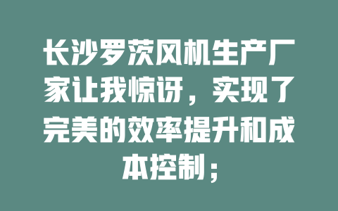 长沙罗茨风机生产厂家让我惊讶,实现了完美的效率提升和成本控制; 一
