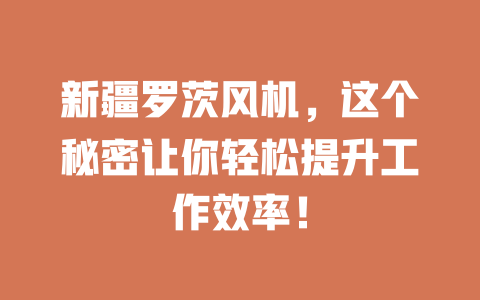 新疆罗茨风机,这个秘密让你轻松提升工作效率! 一