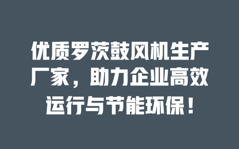 优质罗茨鼓风机生产厂家,助力企业高效运行与节能环保! 一