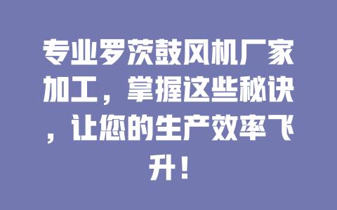 专业罗茨鼓风机厂家加工,掌握这些秘诀,让您的生产效率飞升! 一