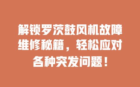 解锁罗茨鼓风机故障维修秘籍,轻松应对各种突发问题! 一