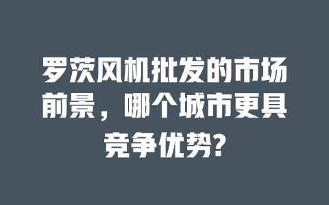 罗茨风机批发的市场前景,哪个城市更具竞争优势? 一