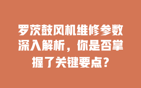罗茨鼓风机维修参数深入解析,你是否掌握了关键要点? 一