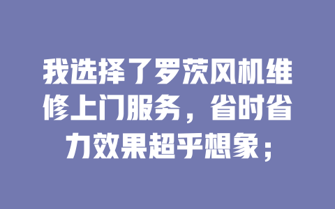 我选择了罗茨风机维修上门服务,省时省力效果超乎想象; 一