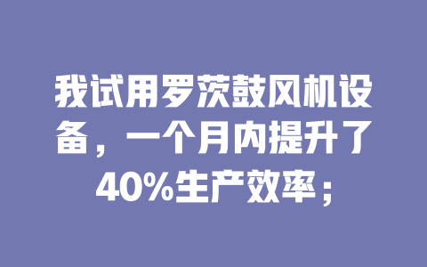 我试用罗茨鼓风机设备,一个月内提升了40%生产效率; 一
